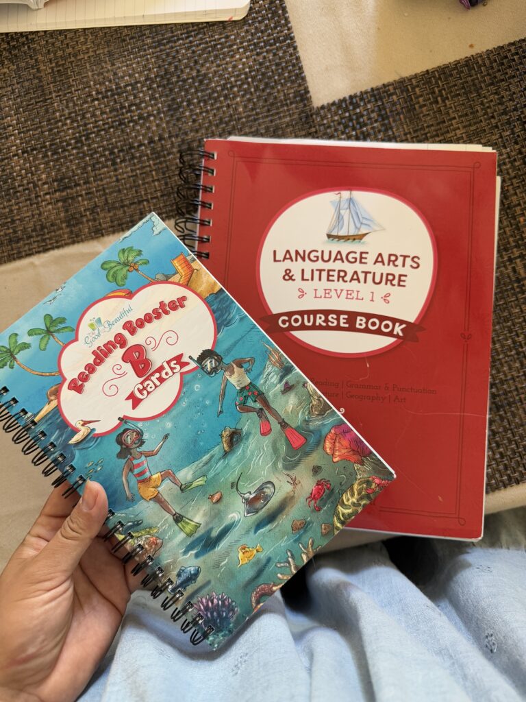 our 2025 homeschooling curriculum review