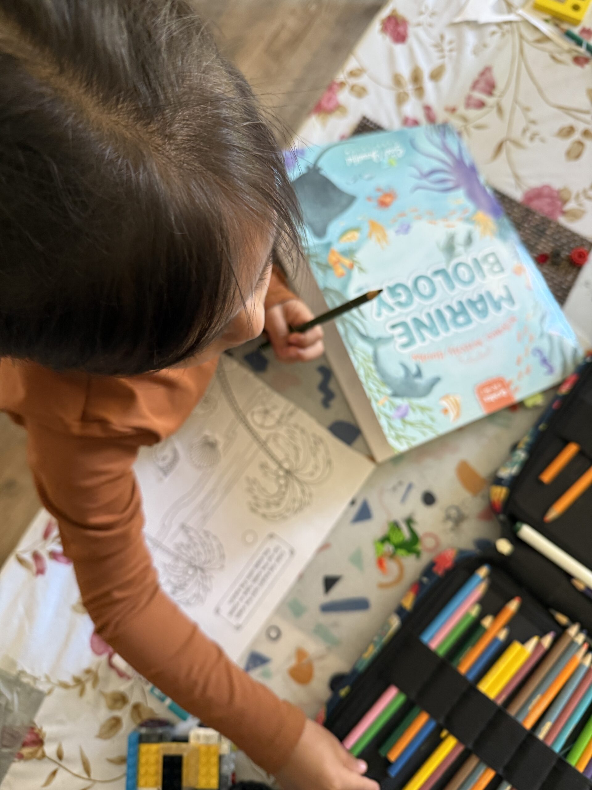 The Good and The Beautiful 2025 homeschooling curriculum review